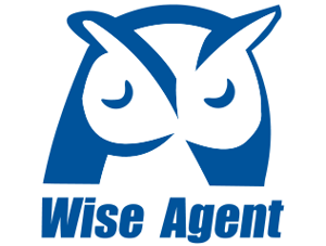 Wise Agent